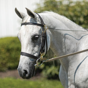 Billy Royal® Arabian Sidecheck Training Bridle