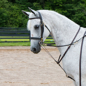 Premier German Martingale