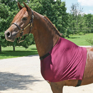 variant_image_burgundy