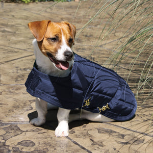 variant_image_navy
