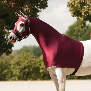 variant_image_burgundy