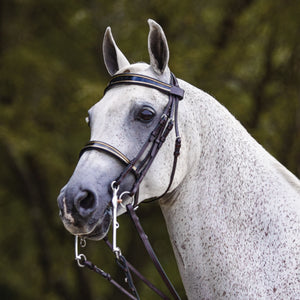 Joseph Sterling® Kiesner Comfort Show Bridle