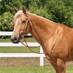 Schneiders® Harness Leather Futurity Quick Change Browband Headstall