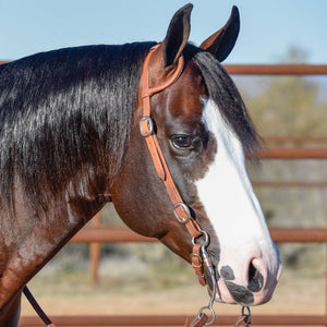Schneiders® Rolled One Ear Quick Change Buckle Headstall