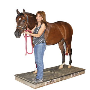 TheraPlate - Equine
