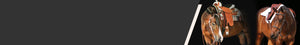 3000
