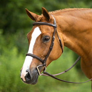 Joseph Sterling® Pro Series Hunter Classic Bridle w/XL Reins (64
