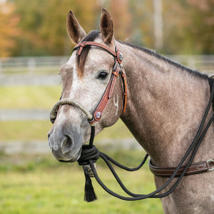 Schneiders® Tooled Futurity Bosal Headstall Set