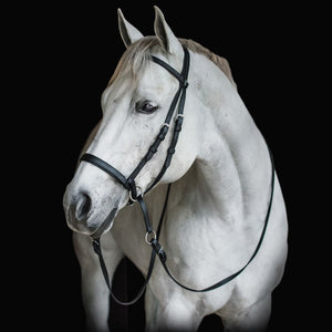 Dr. Cook's Beta Bitless Bridle
