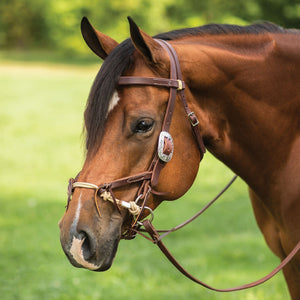 Weaver Leather® Justin Dunn Bitless Western Bridle