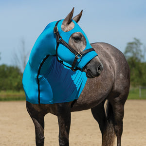variant_image_turquoise