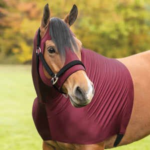 variant_image_burgundy