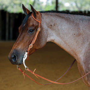 Schneiders® Latigo Lined Rolled One Ear Headstall with Quick Change Buckles