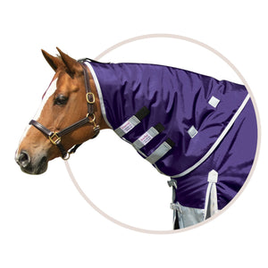 variant_image_plum