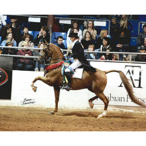 Chris Culbreth