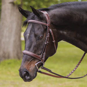 Joseph Sterling® Padded Poll Relief Monocrown English Bridle