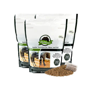 BioMane Equine Pellets - 90 Day Supply