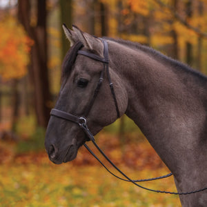 Pinnacle Padded Bitless Bridle