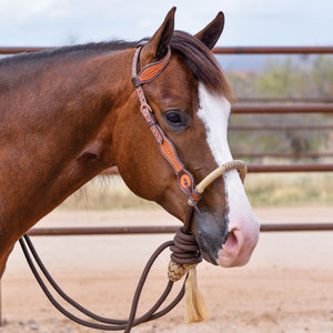 Schneiders® Basketweave Tooled One Ear Bosal Set