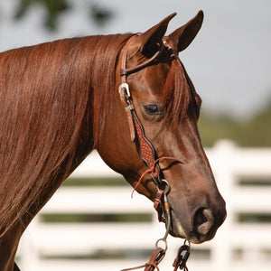 Schneiders® Geometric Stamped One Ear Headstall