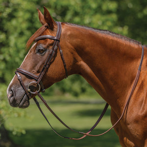 Schneiders® Monocrown Flash Bridle with Crystal Swoop Browband