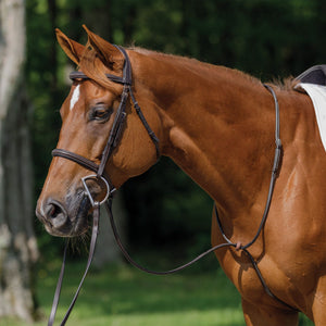 Schneiders® Raised Standing Martingale with Fancy Stitching