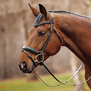 Schneiders® Black Crystal Browband Dressage Bridle