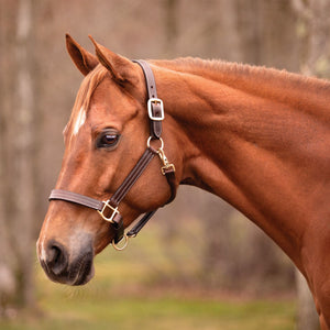 Schneiders® Triple Stitched Leather Halter