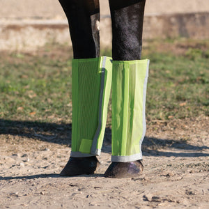 variant_image_lime
