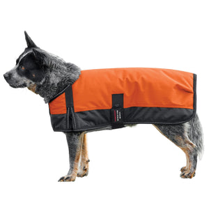 variant_image_merge_45961_orange