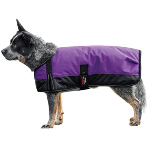 variant_image_merge_45963_purple