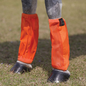variant_image_orangeorange