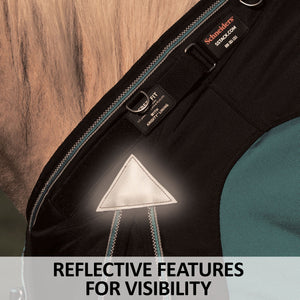 46168c feature L overlay