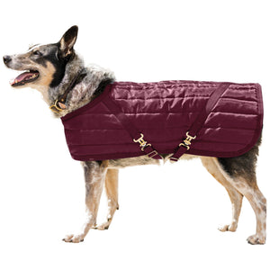 variant_image_merge_46584_burgundy