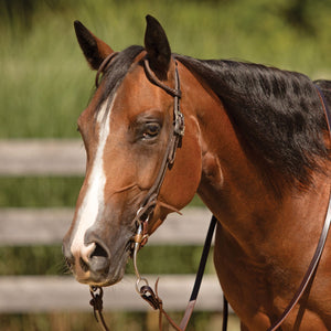 Billy Royal® Canyon Ridge Two Ear Ranch Headstall