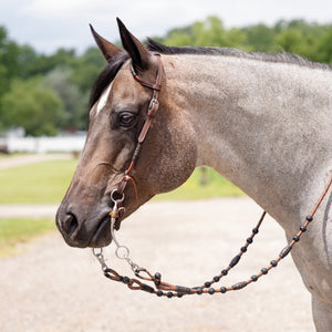 Schneiders® Black and Chocolate Rawhide Two-Ear Ranch Headstall