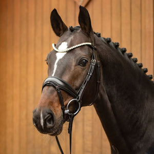 Passier® Favorite Snaffle Bridle by Ingrid Klimke with Stainless Steel Fittings