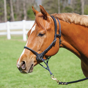 JP Com'Along Leading Halter™