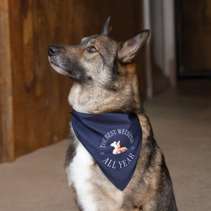 K3DE Dog Bandana