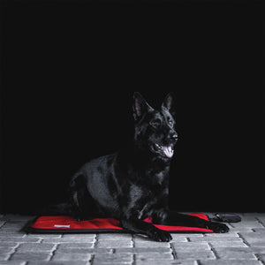 Sport Innovations MagMini Magnetic PEMF Dog Mat