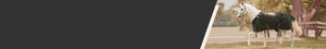 9000