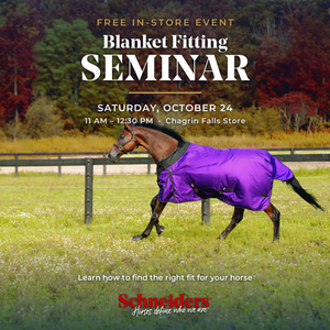 Blanket Fitting Seminar - In-store, Saturday October 24th from 11 am to 1230 pm