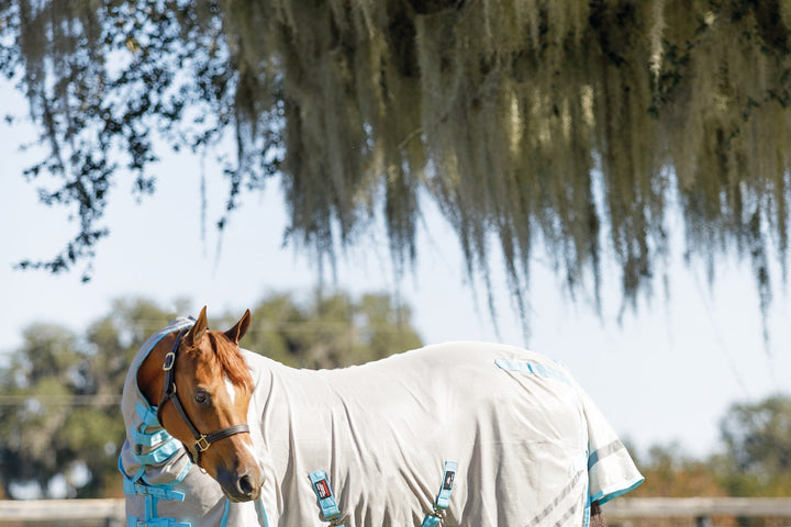 Do Fly Sheets Really Work?