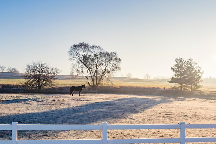 How Do I Put Weight on My Horse Before Winter?