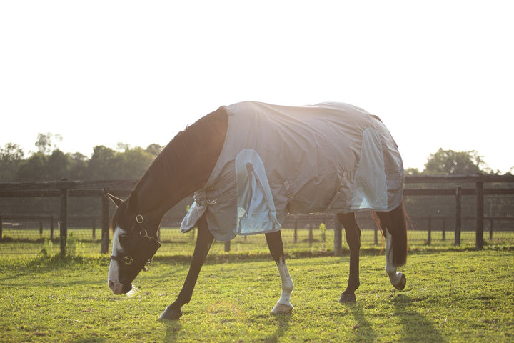 When Do I Switch From a Fly Sheet to a Rain Sheet?