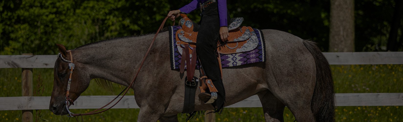Picking the Right Western Saddle for You