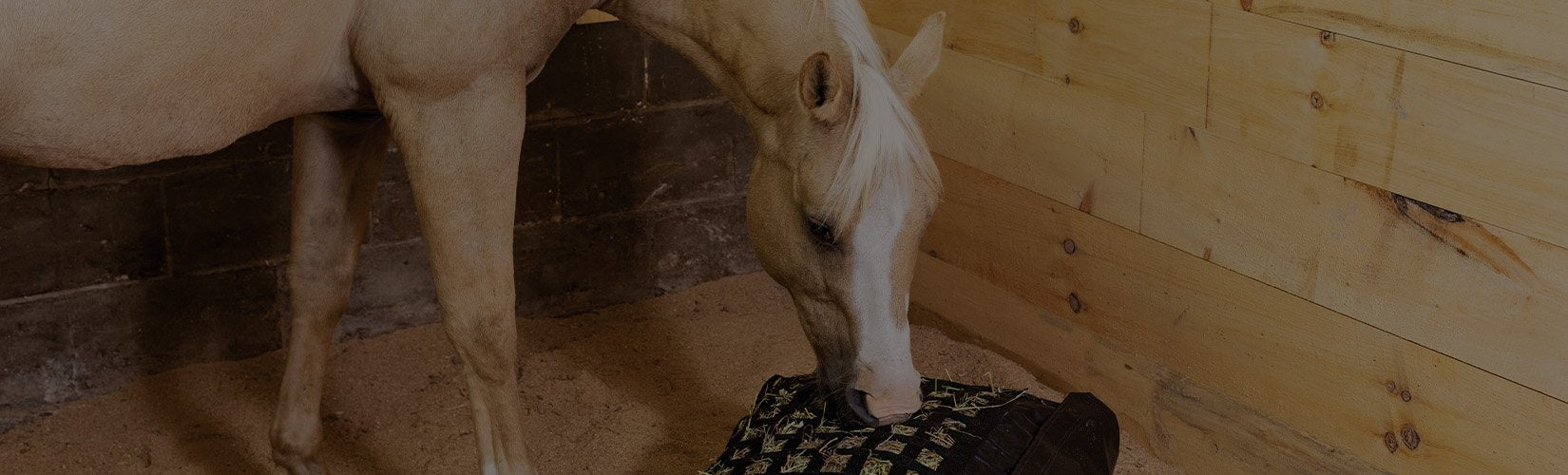 The 10 Best Slow Hay Feeders for Horses