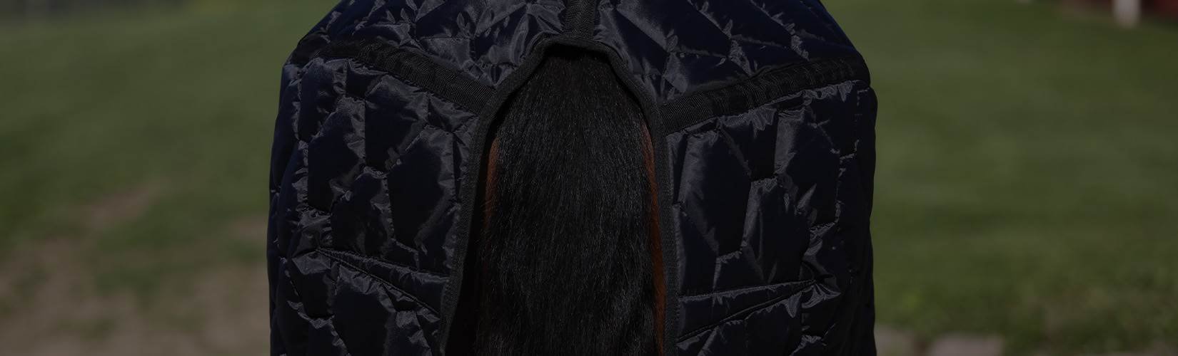 Horse Tail Care for Tail Growth