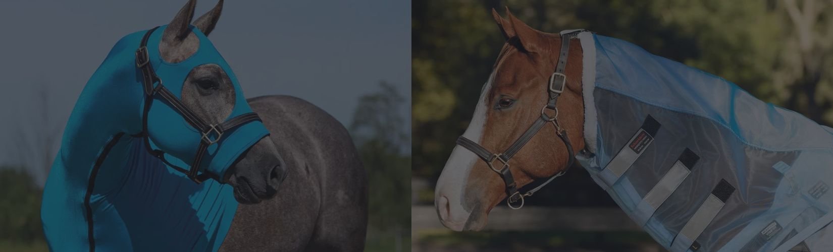 The Differences Between Horse Hoods & Fly Neck Covers