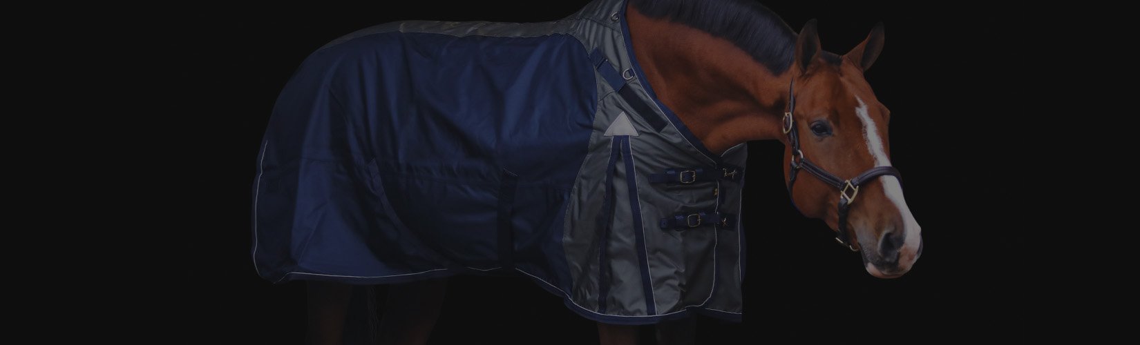 Top 10 Winter Horse Blankets